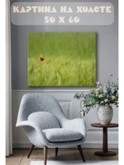 Картина на стену 40 X 50 Цветок в поле