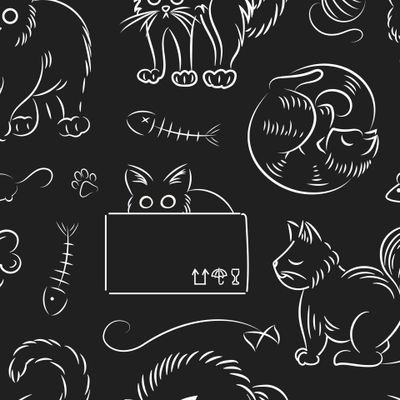 кошки. Толстый милый  Домашние питомцы. Кот спит, в коробке