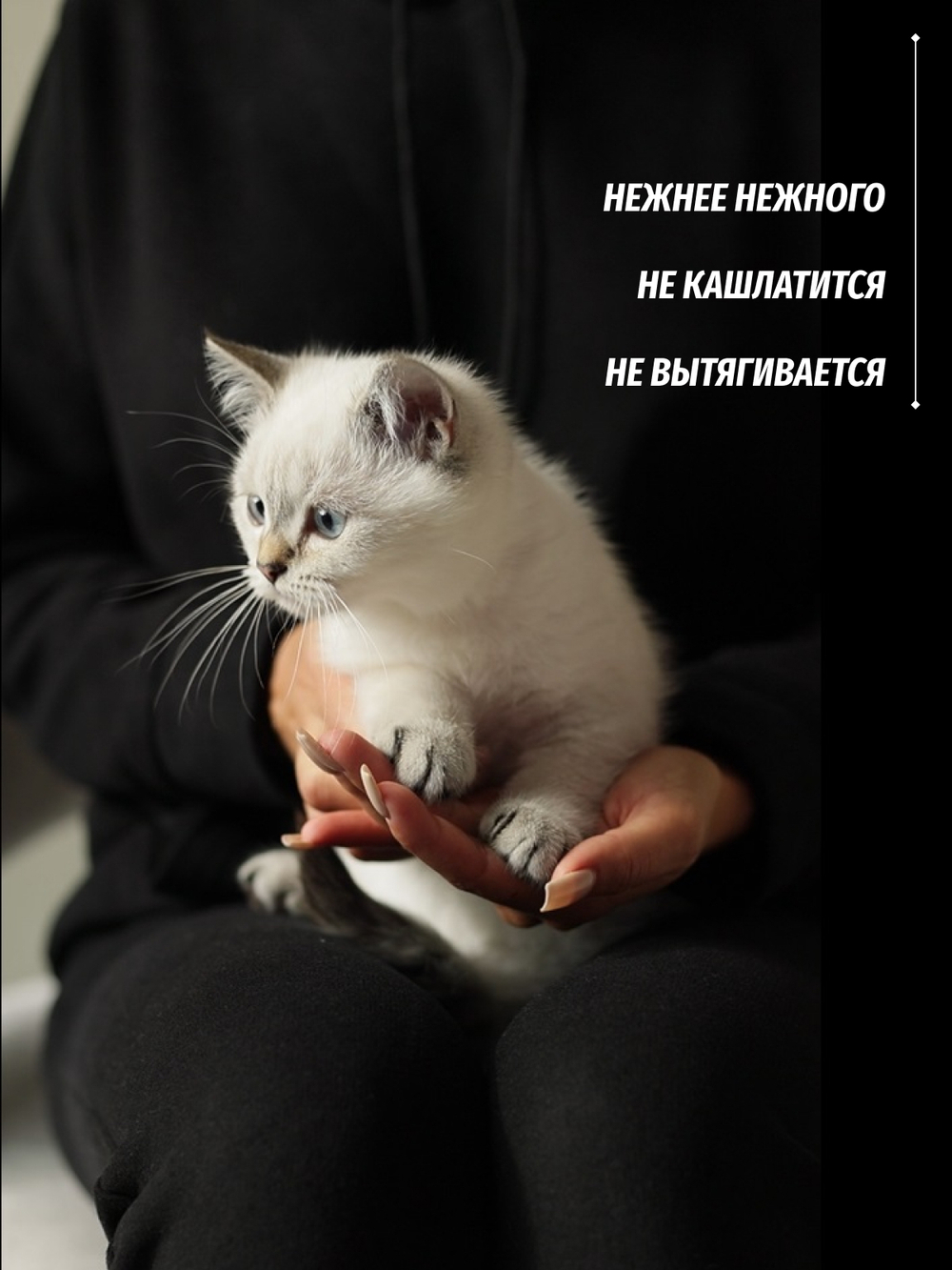 Костюм спортивный женский Bisher черный