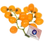 Муляж «Ветка помидоры Черри желтые» 22см