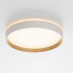 Накладной светильник Citilux Etalon CL750240