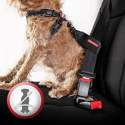 Шлейка Chest Plate EzyDog
