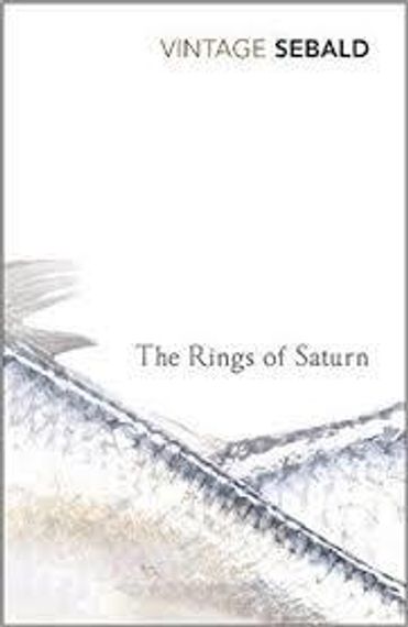 Rings of Saturn
