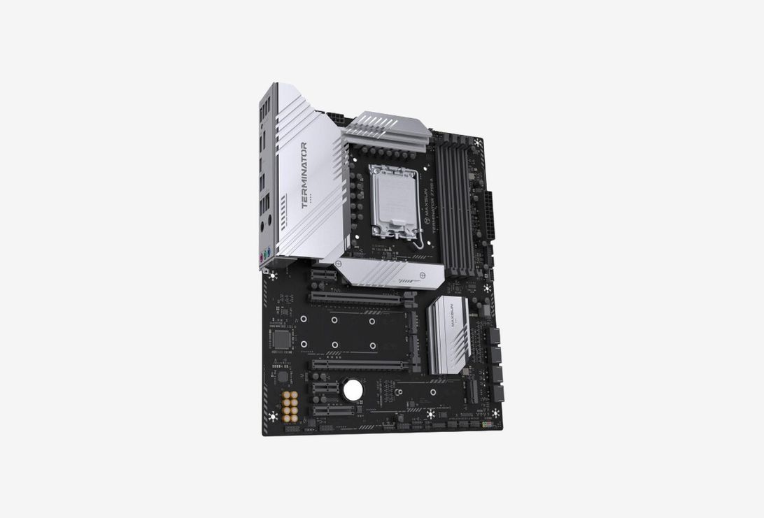 MS-Terminator Z790-A_02251003120426