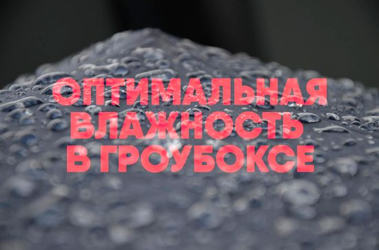 Оптимальная влажность в гроубоксе