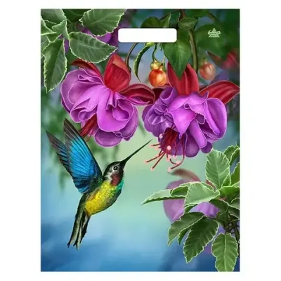 Пакет ПЭ с вырубной ручкой 31+6Тико глянец (Колибри в цветах) Р (комплект 50 шт)