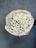 Букет ромашек микс в оформление.