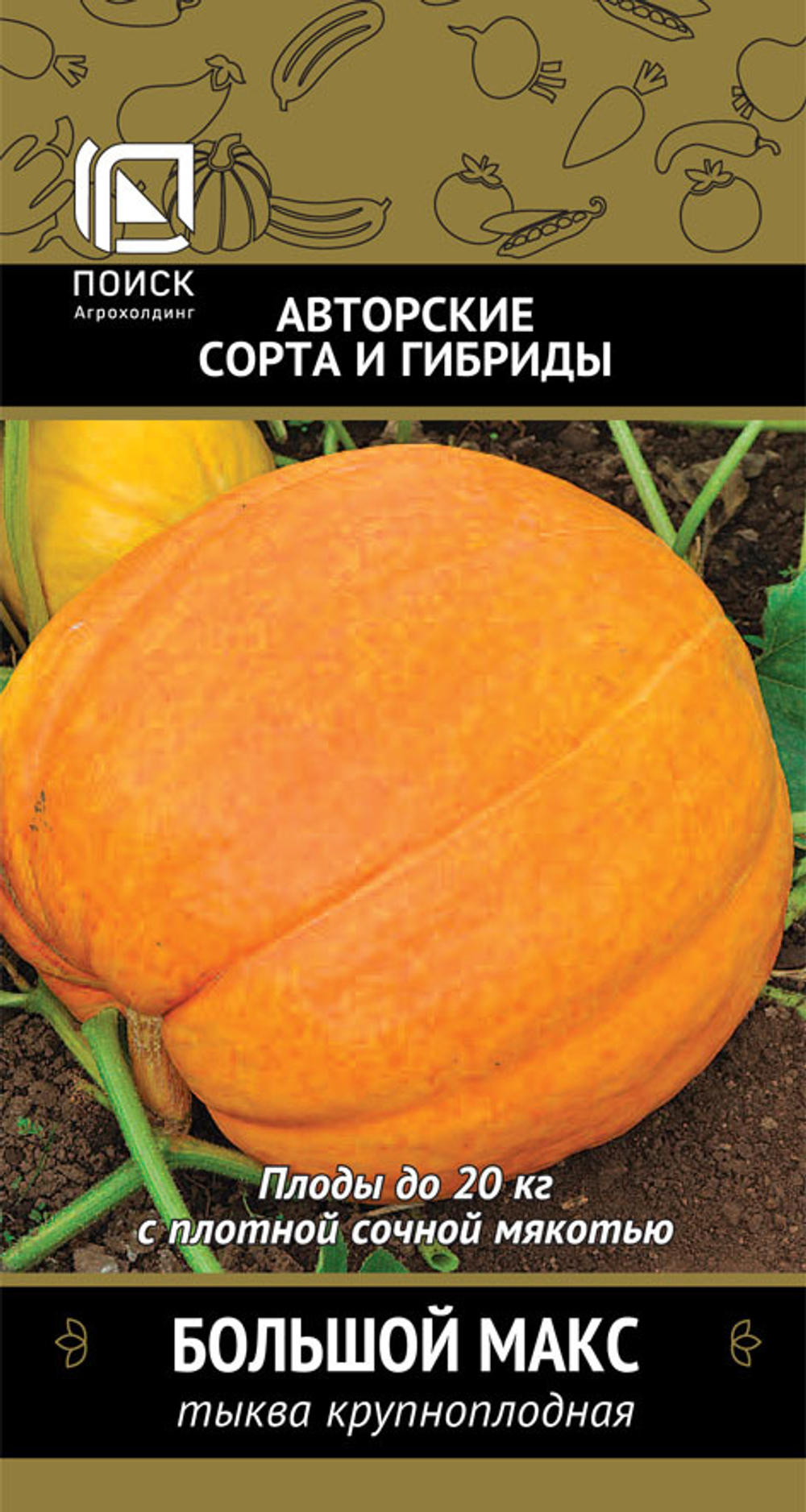 тыква крупноплодная Большой Макс