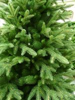 Елка с гирляндой «Эльга» (Литая хвоя) от 1,5 м до 3 м