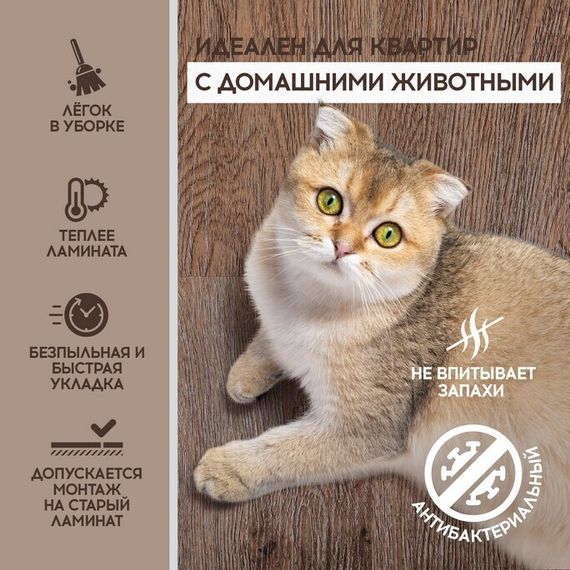 SPC ламинат I-Floors Basic - Дуб Винздор (4.2 мм 2.06)