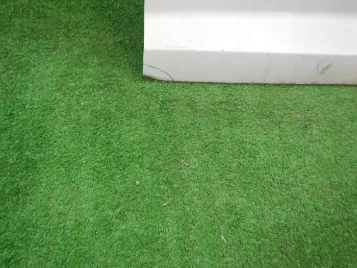 DSCN4468.JPG