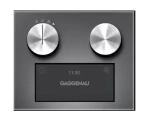 Духовой шкаф Gaggenau BS454101