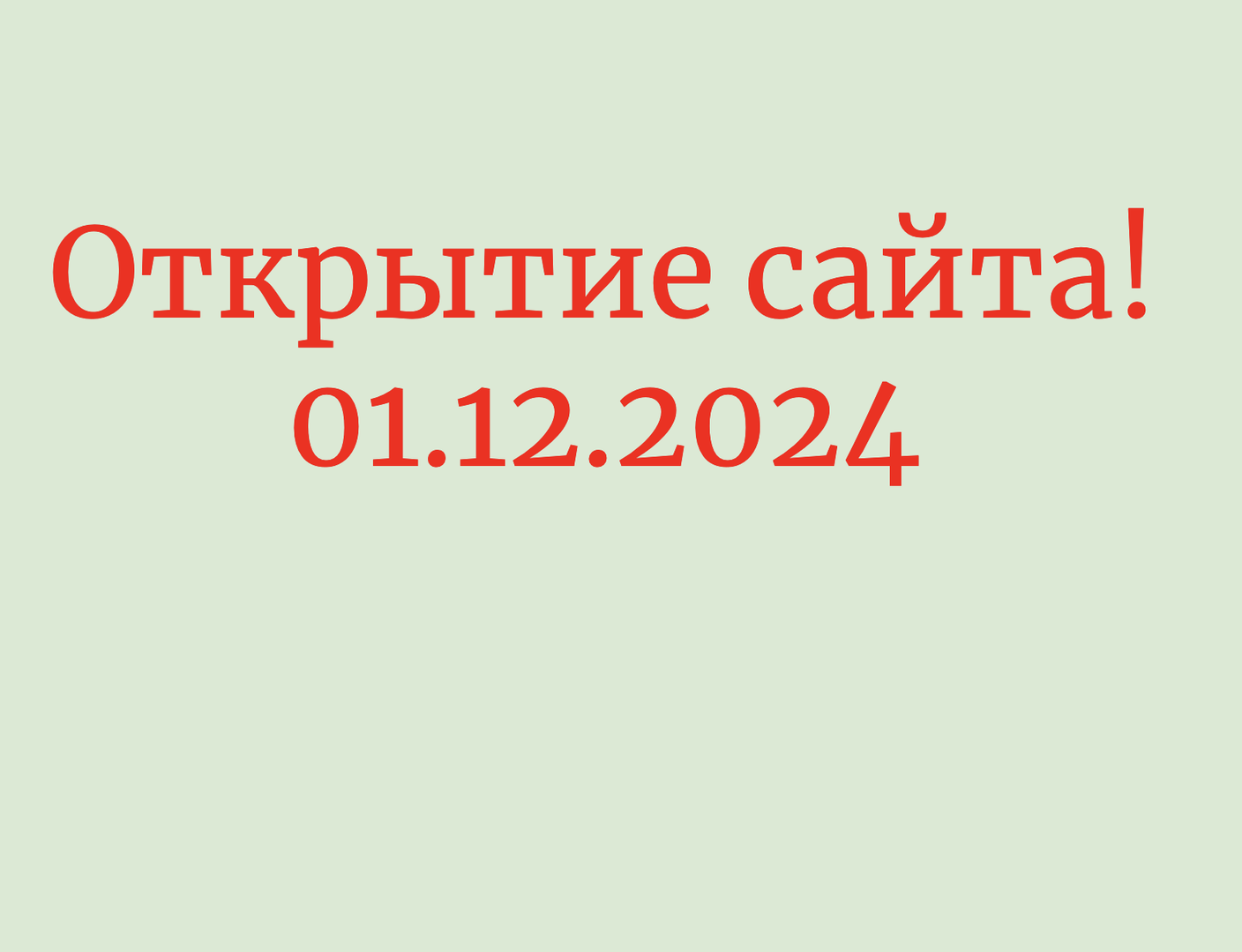Мы открыли сайт!