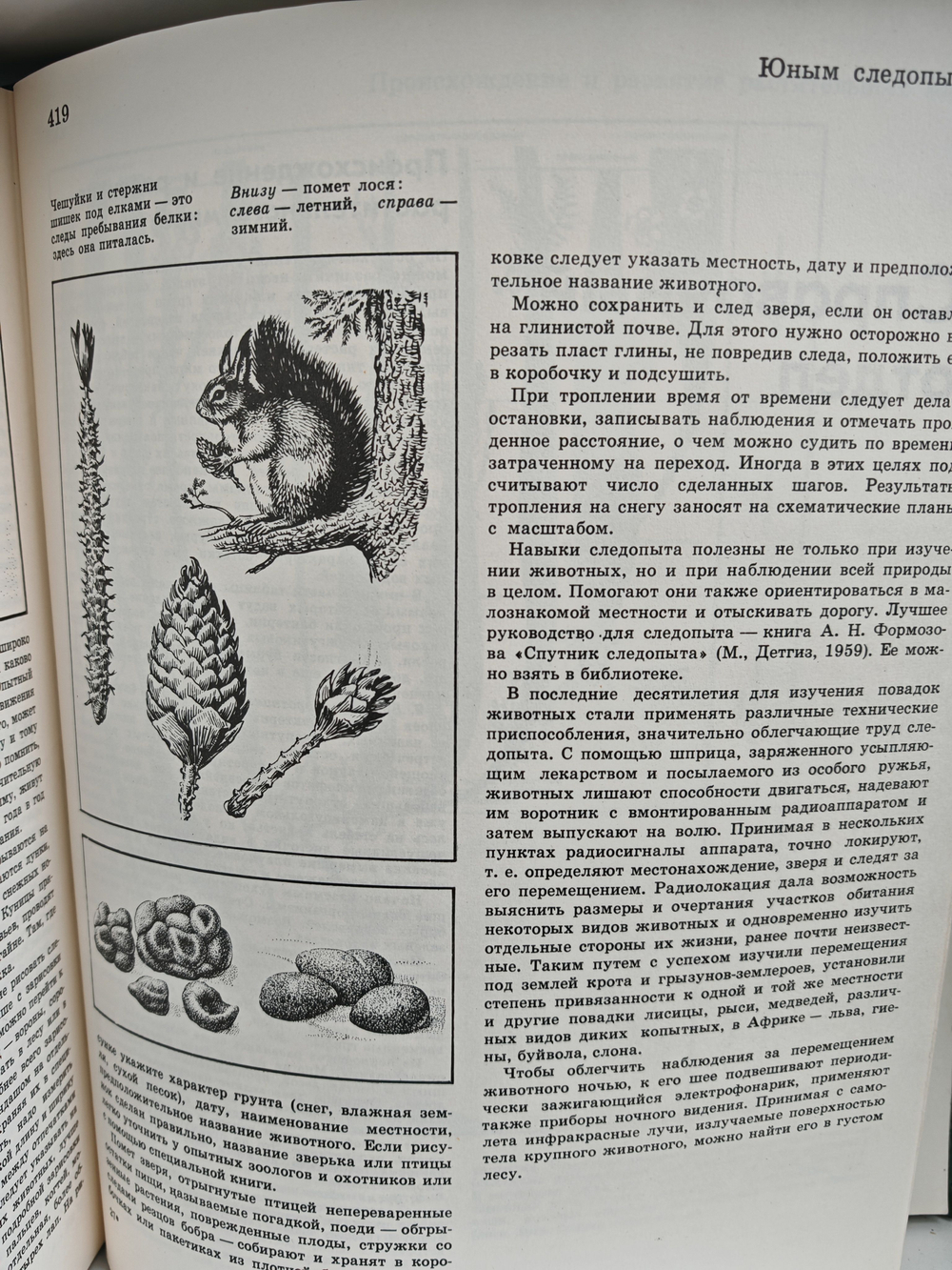 Детская энциклопедия. Том 4. Растения и животные