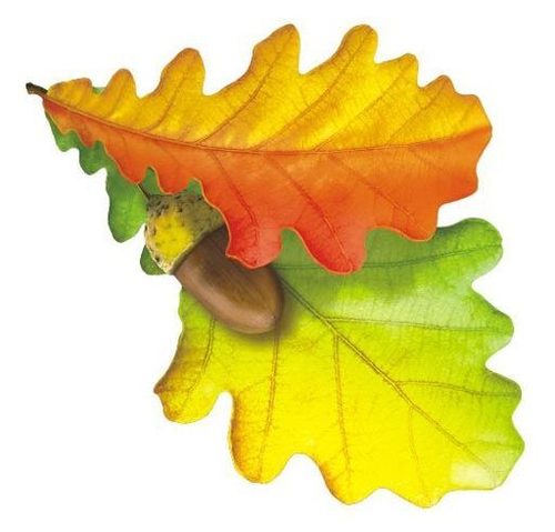 Украшение на скотче "Дуб", 46500 УС-026