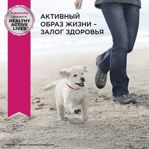 Корм для щенков средних пород, Eukanuba Dog MEDIUM PUPPY