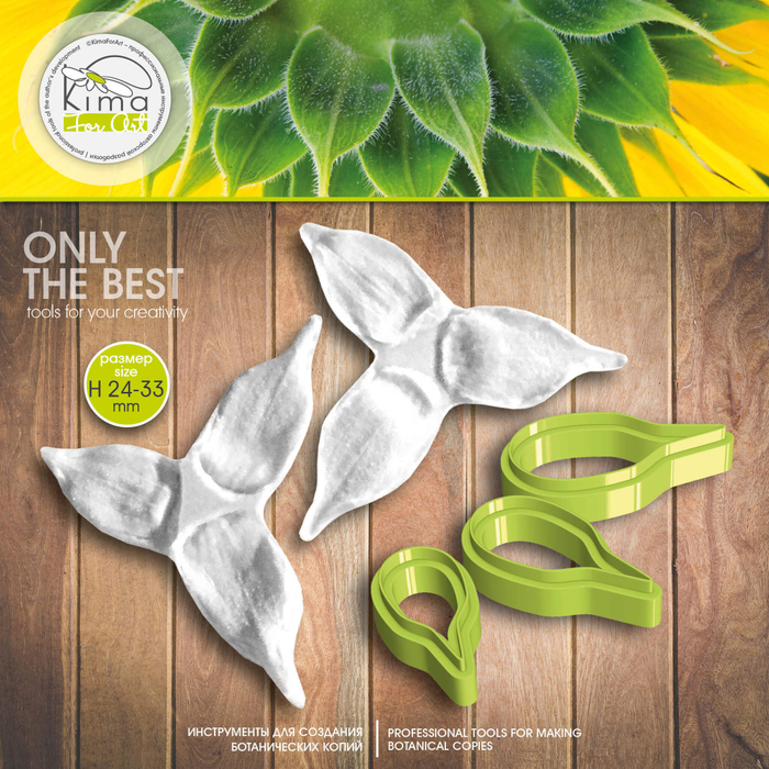 Подсолнух чашелистики