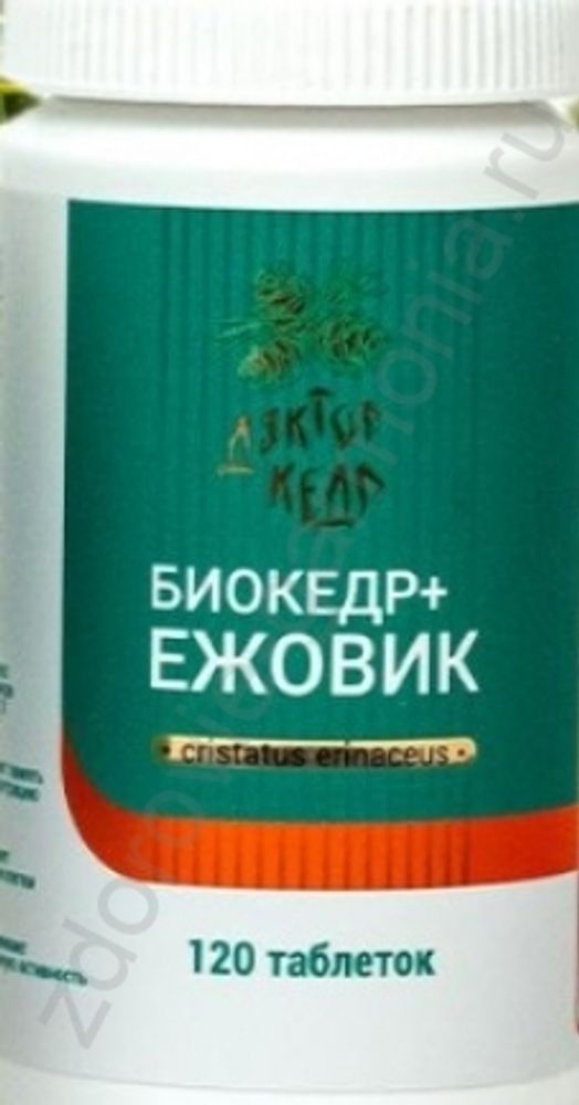 ДКШ + Ежовик гребенчатый