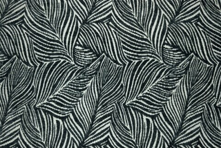 Шенилл Daphnia graphite (Дафния графит) 10