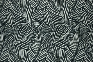 Шенилл Daphnia graphite (Дафния графит) 10