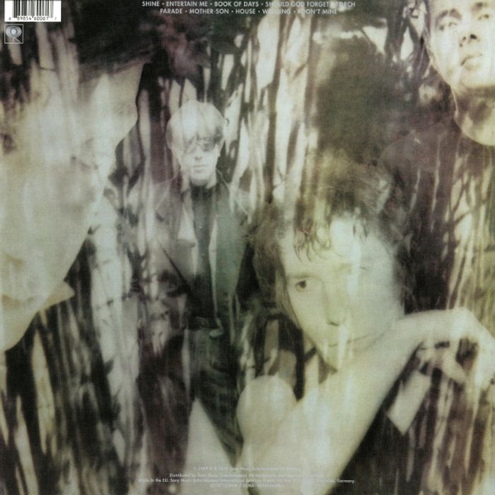The Psychedelic Furs / Book Of Days (LP)