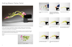 Inspiring Ikebana