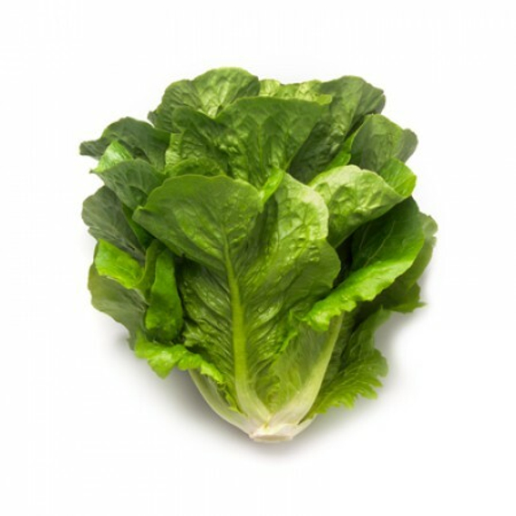 МАКСИМУС семена салата Rijk Zwaan купить – фото 2