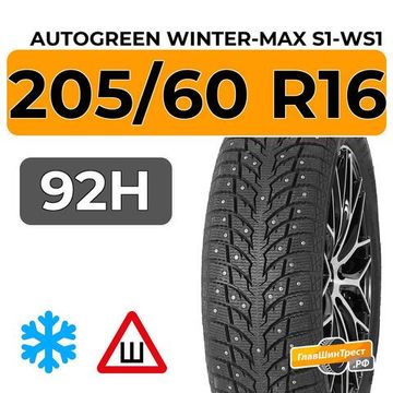 Autogreen Winter-Max S1-WS1 205/60 R16 92H шип