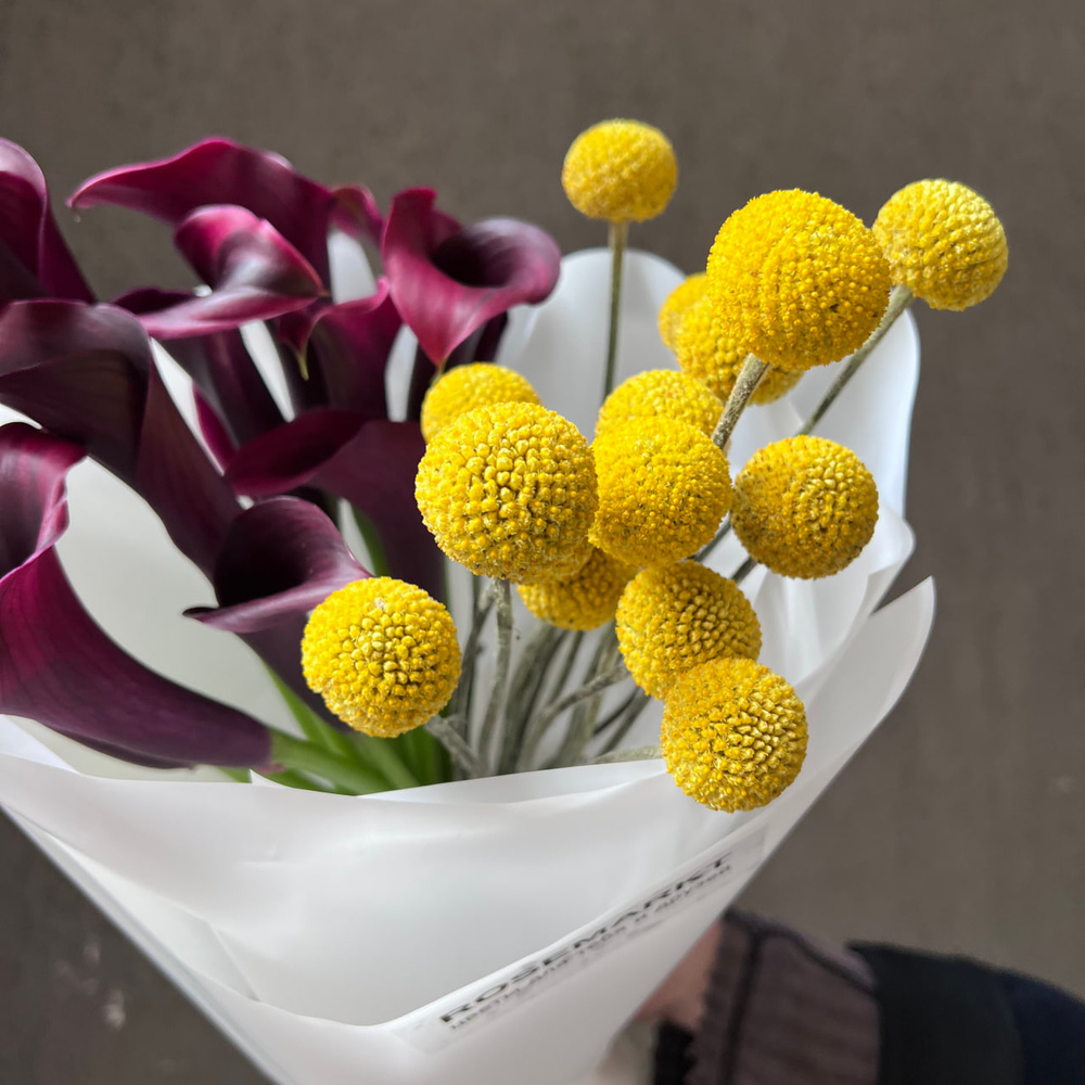 Авторский букет «Вечеринка художников» тёмные каллы и жёлтая краспедия/ Цветы/ букет от RoseMarkt