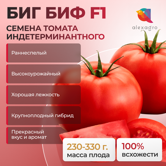 БИГ БИФ F1 семена томата индетерминантного (Seminis) культура – фото 1