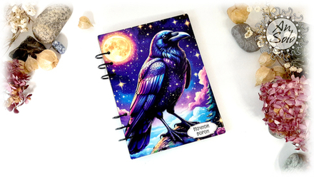 Блокнот "Ночной ворон" А5 формата на кольцах