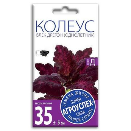 Колеус Блек Дрегон, семена Агроуспех 10шт (500)