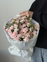 Моно букет из кустовых диантусов в нежно розовом оттенке 35 шт