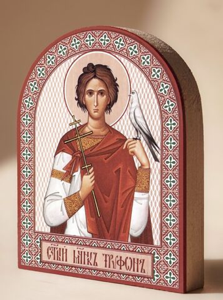 Икона аркой Трифон, мч. на дереве: 95 х 120 (Синопсисъ)