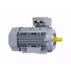 Электродвигатель ESQ PR 100 LB4-SDN-Б1-S12-IE3 3/1500 IMB34