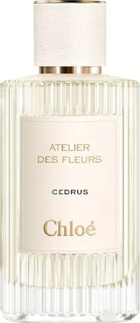 Chloe Atelier Des Fleurs Cedrus