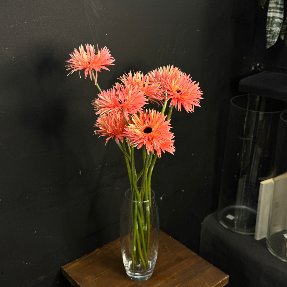 Гербера сортовая / 1 шт