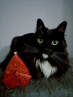 БРАЖНИК — 45° Luna свечи для waxplay