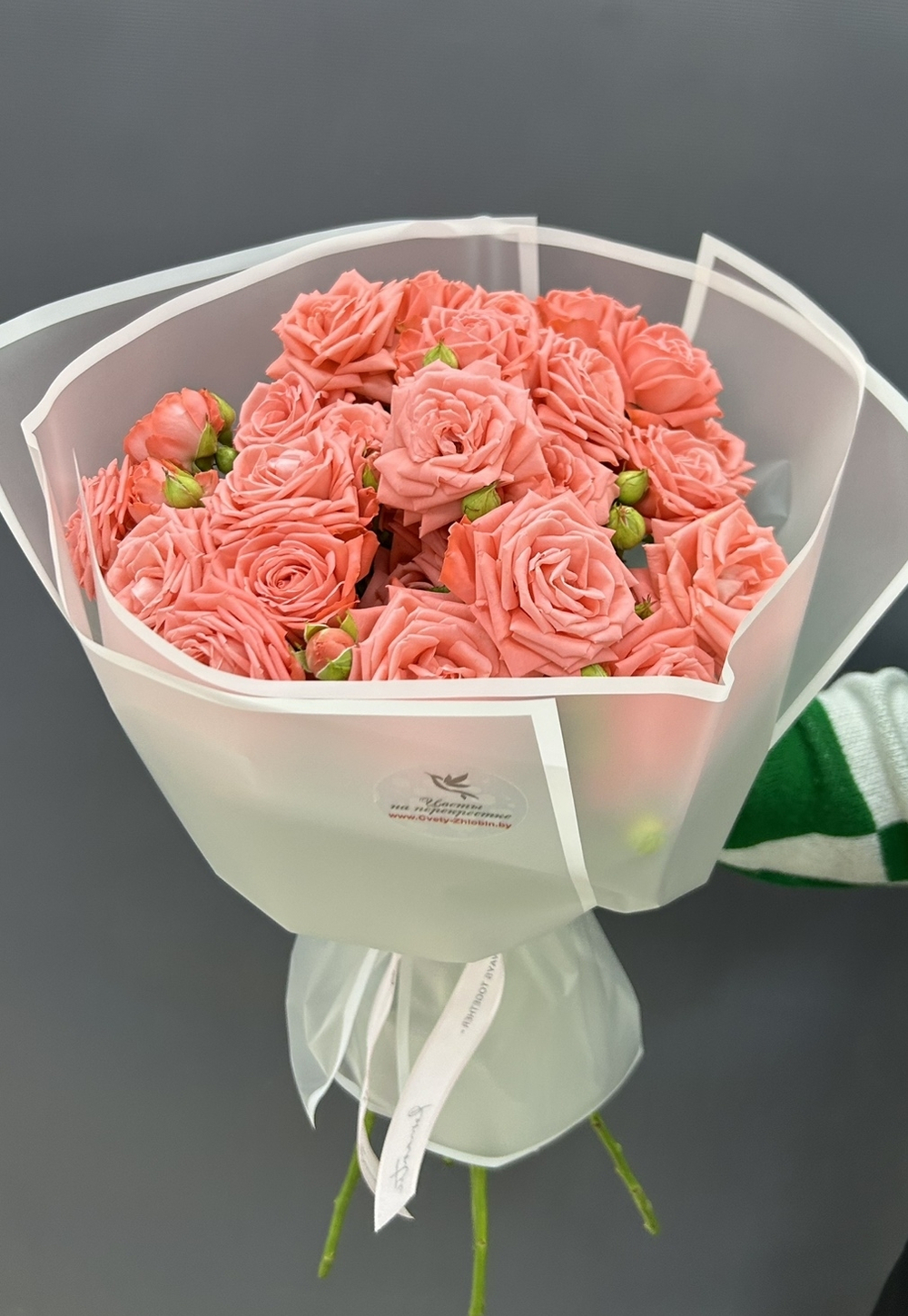 Коралл 7 веток