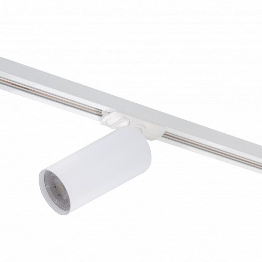 Светильник на штанге Denkirs DK620 DK6202-WH