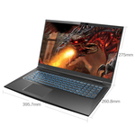 17.3" Ноутбук MAIBENBEN P748 (1920x1080 144GHZ, AMD Ryzen 7 4800H, RAM 16ГБ, SSD 512ГБ, NVIDIA GeForce RTX 2060 6ГБ, Win 10 Pro)