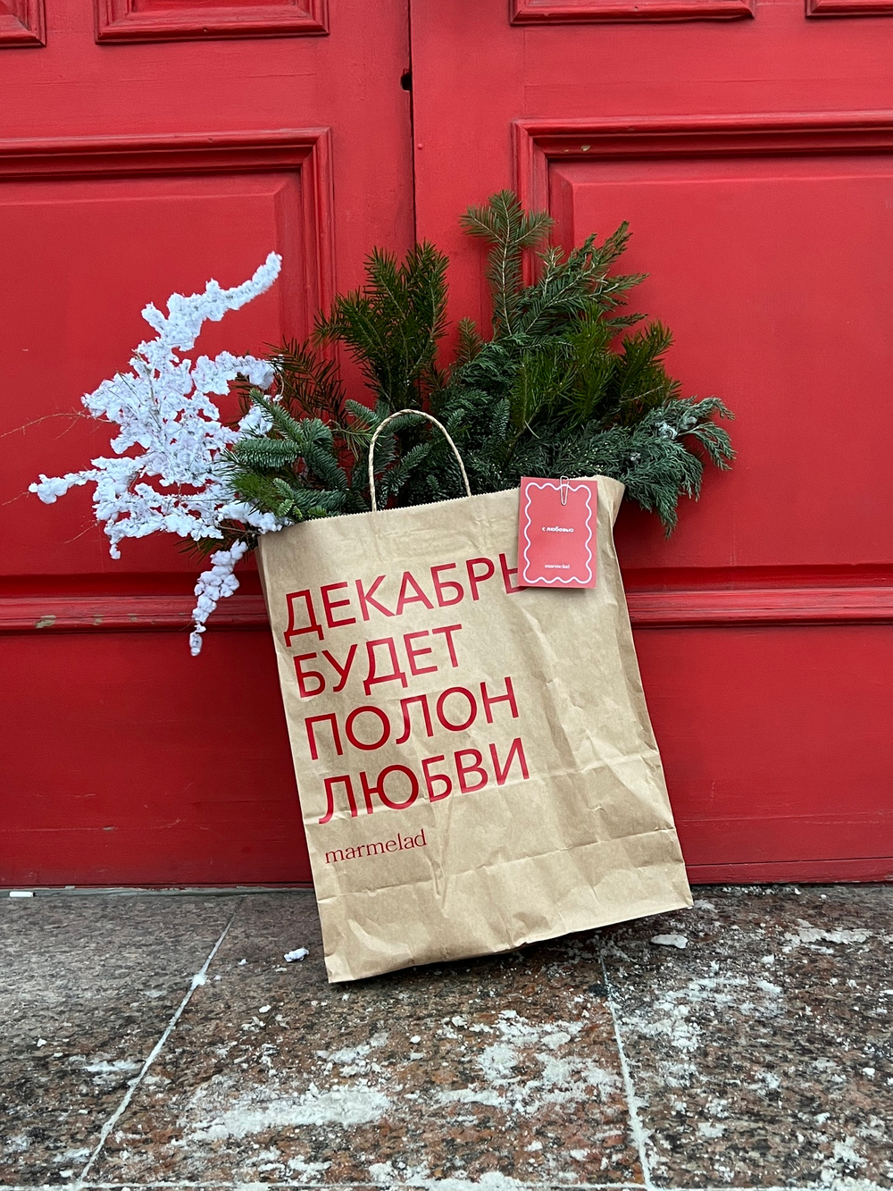 Пакет из хвои с заснеженными ветками