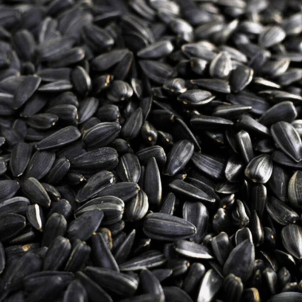 СЕМЕЧКИ ПОДСОЛНЕЧНЫЕ черные (Вес)