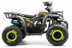 Квадроцикл Motoland 125 WILD A