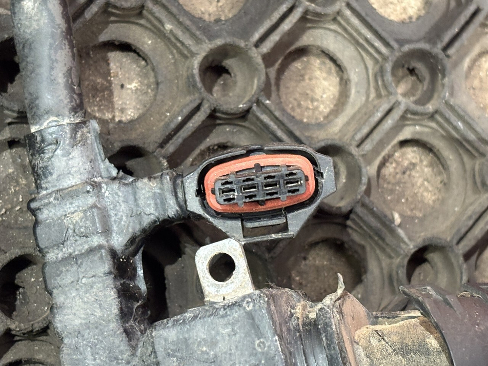 Проводка двигателя 2019г