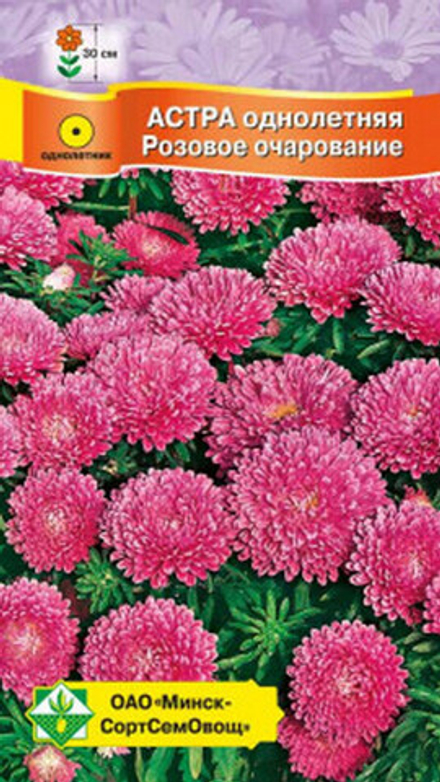 Астра карликовая "Розовое очарование" 0,3г., Германия.
