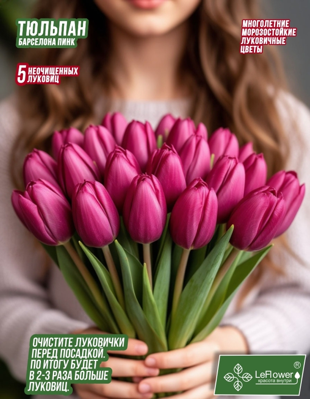 Тюльпан Луковица, Барселона Пинк, 5+ шт