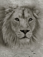 Дизайнерские обои Wall Street podLOFT