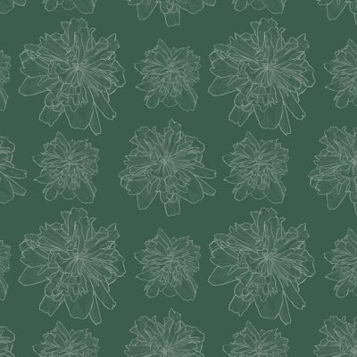 Пион раскрытый цветок зеленый фон