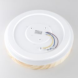 Citilux ENZO CL753352G LED RGB Светильник с пультом Клён